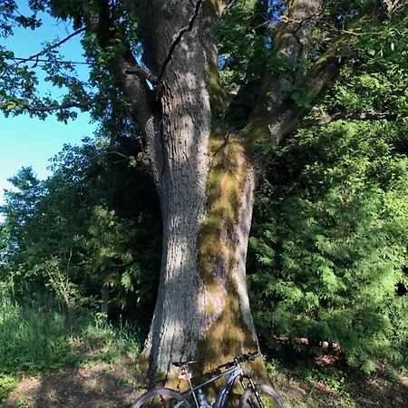 Pensionat W Goldapi Gołdap