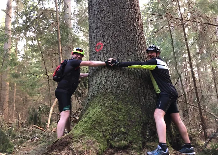 Guest house W Goldapi