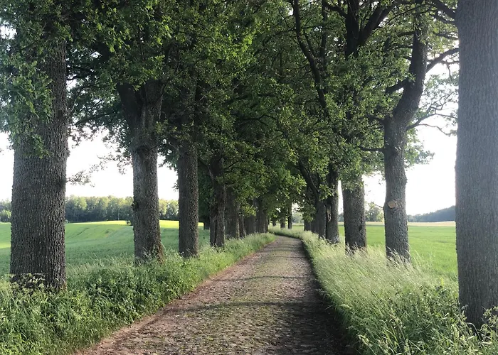 Guest house W Goldapi Goldap