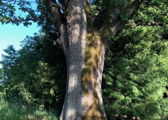 Guest house W Goldapi Goldap